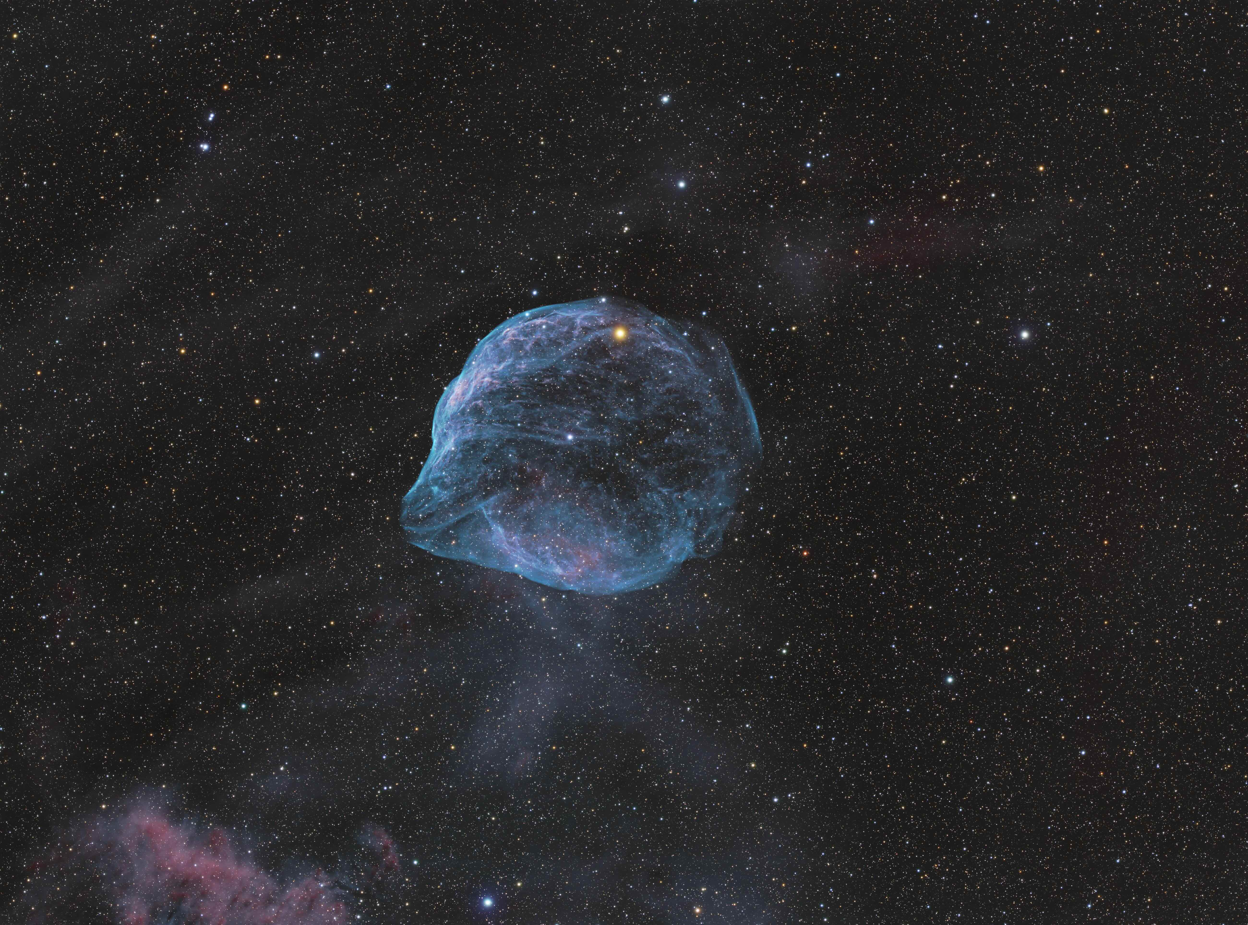 Dolphin Head Nebula