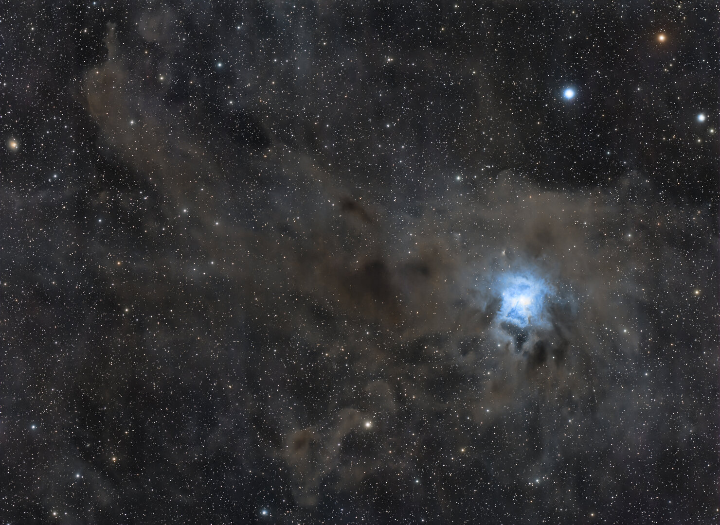 Iris Nebula