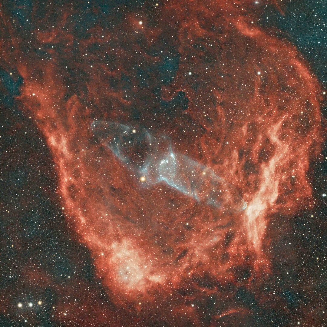 Squid Nebula