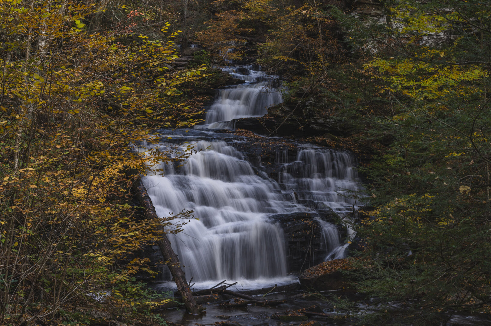 Flowin' Through Fall