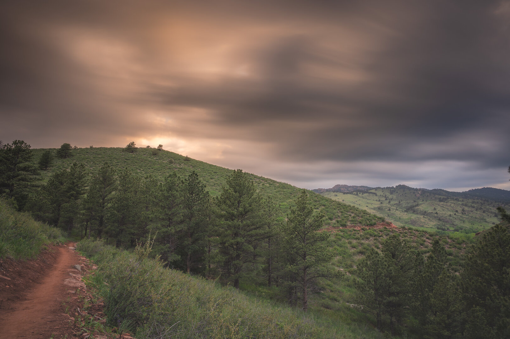 Serene Horsetooth