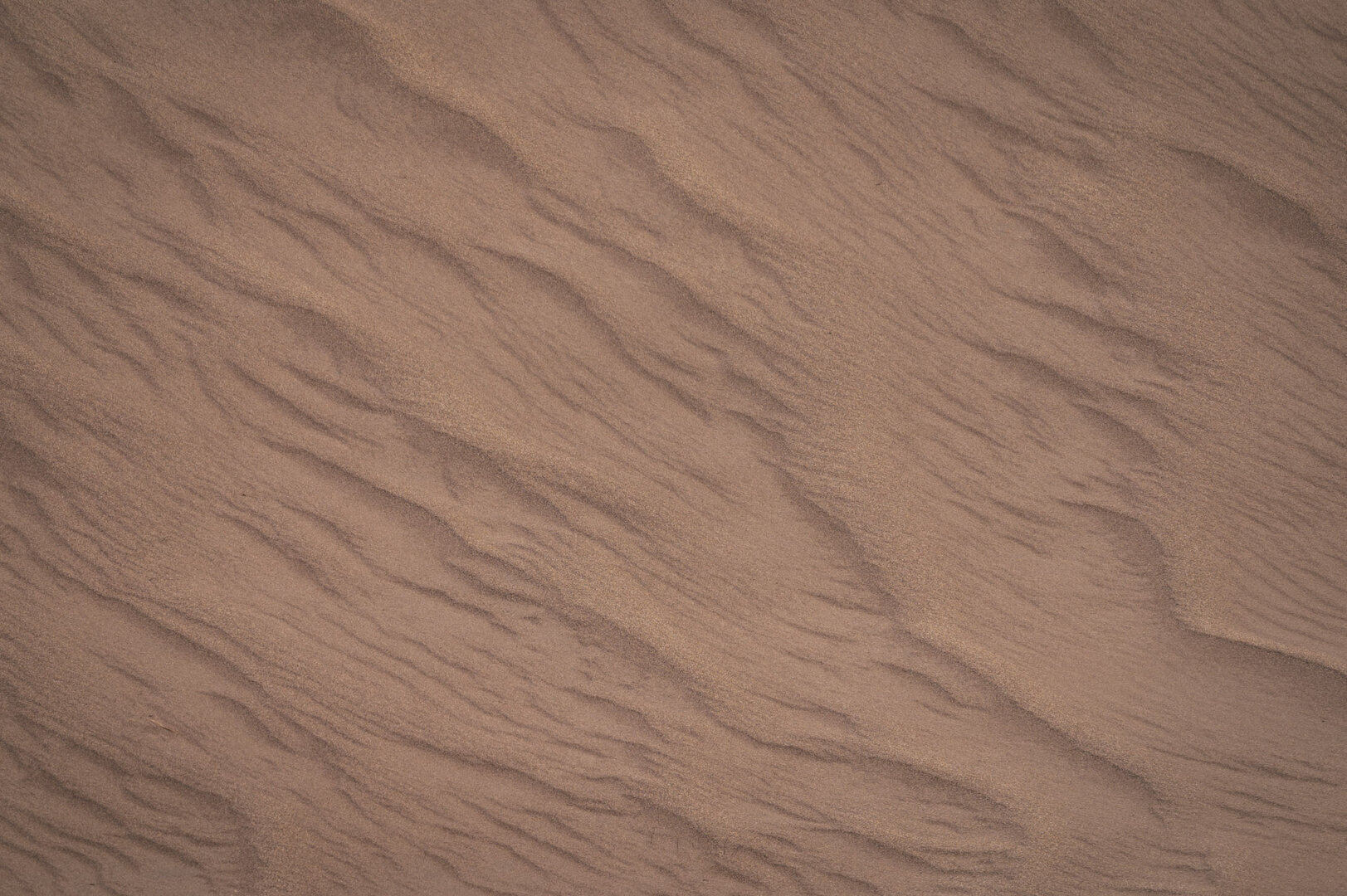 Desert's Breath