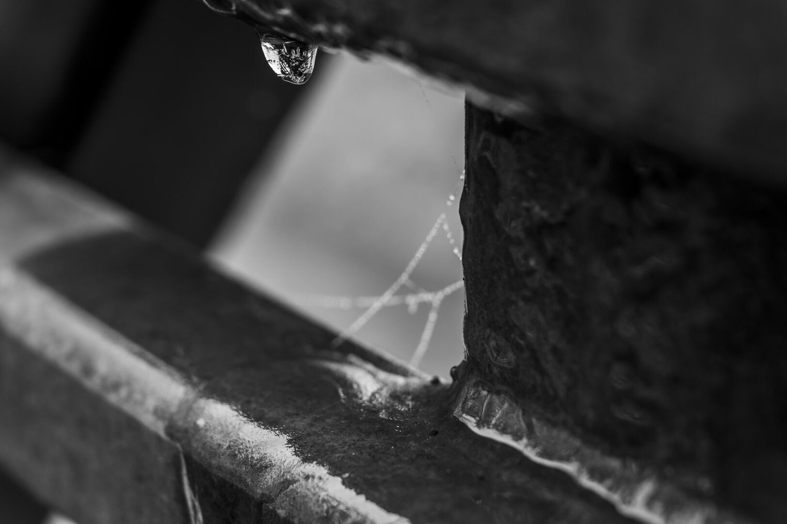 Frozen Mirror